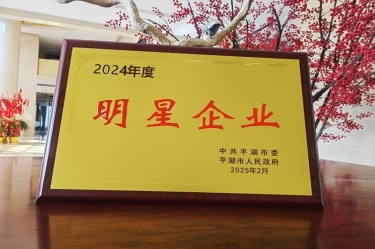 新春新景新形象 | 腾博官网诚信为本纸业在平湖三干大会上喜摘荣誉！